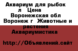 Аквариум для рыбок 20л › Цена ­ 500 - Воронежская обл., Воронеж г. Животные и растения » Аквариумистика   